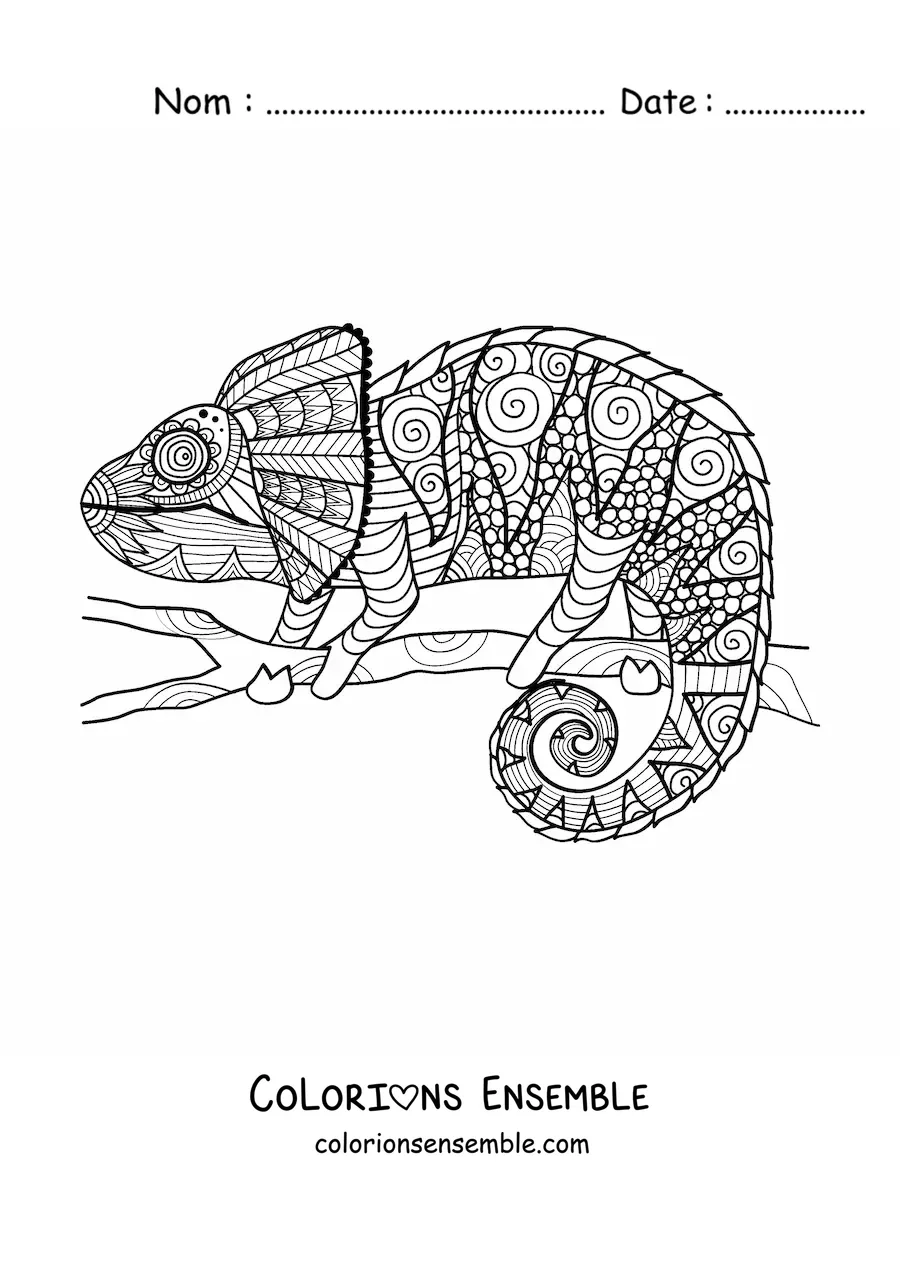 Mandala de caméléon à colorier