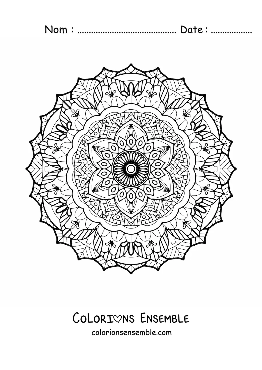 Joli mandala difficile à colorier