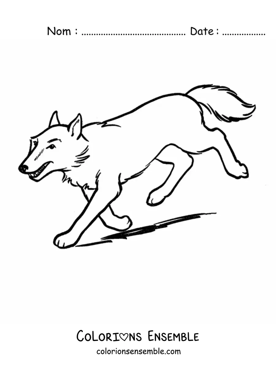 Image à colorier d’un loup qui court vers le bas d’une pente