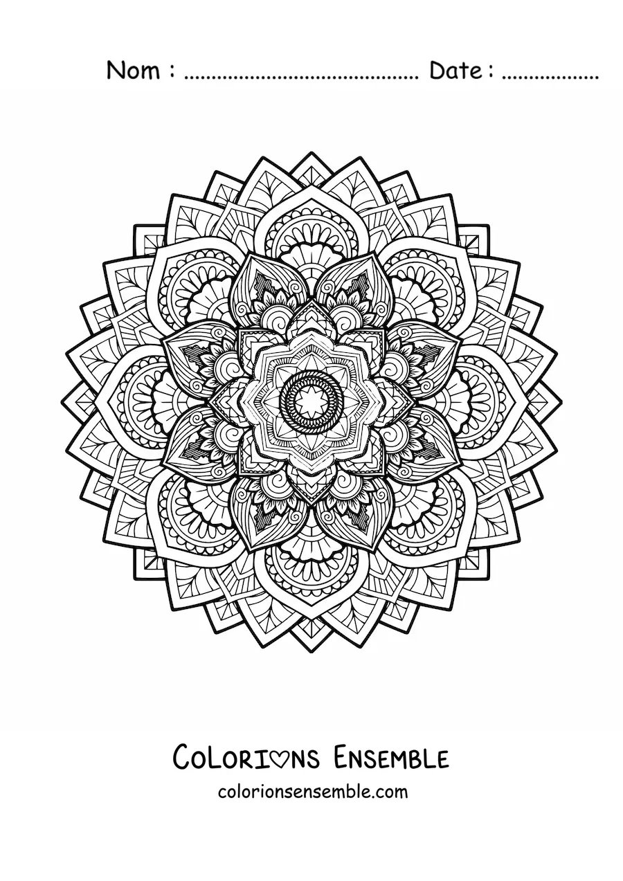 Joli mandala difficile à colorier