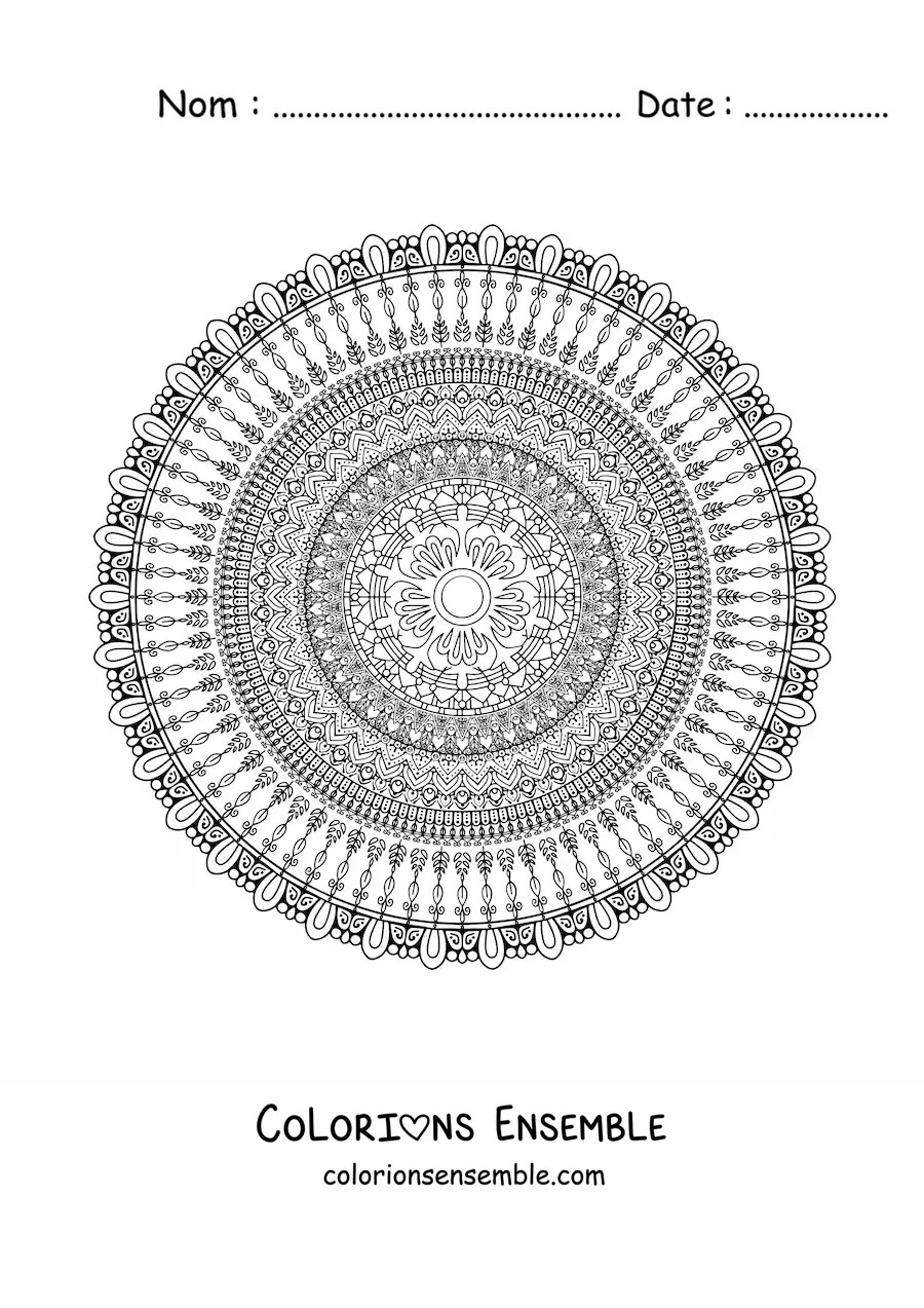 Mandala circulaire difficile à colorier