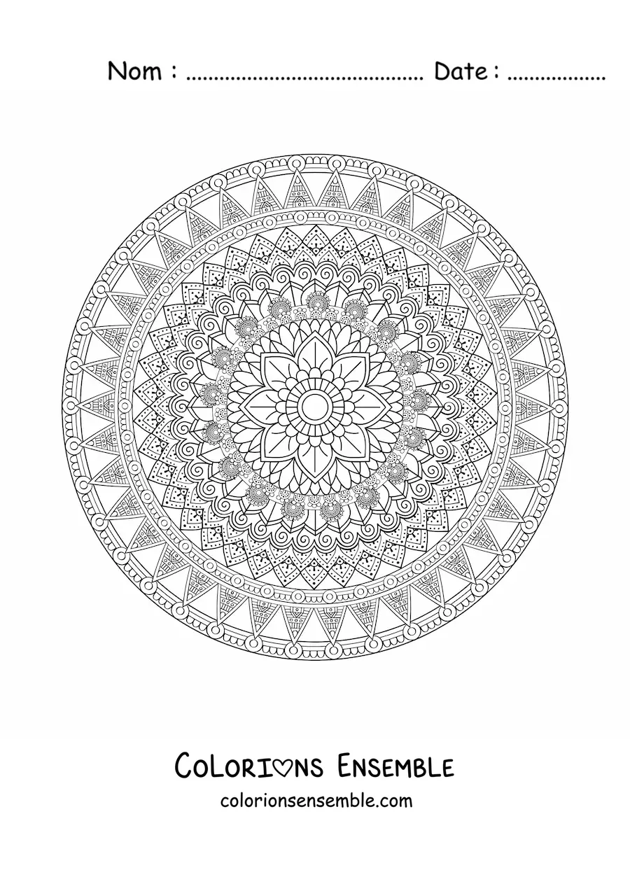 Mandala circulaire difficile à colorier