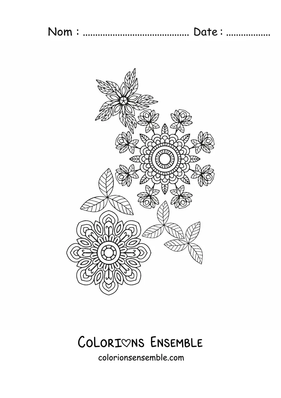 Fleurs en mandala à colorier