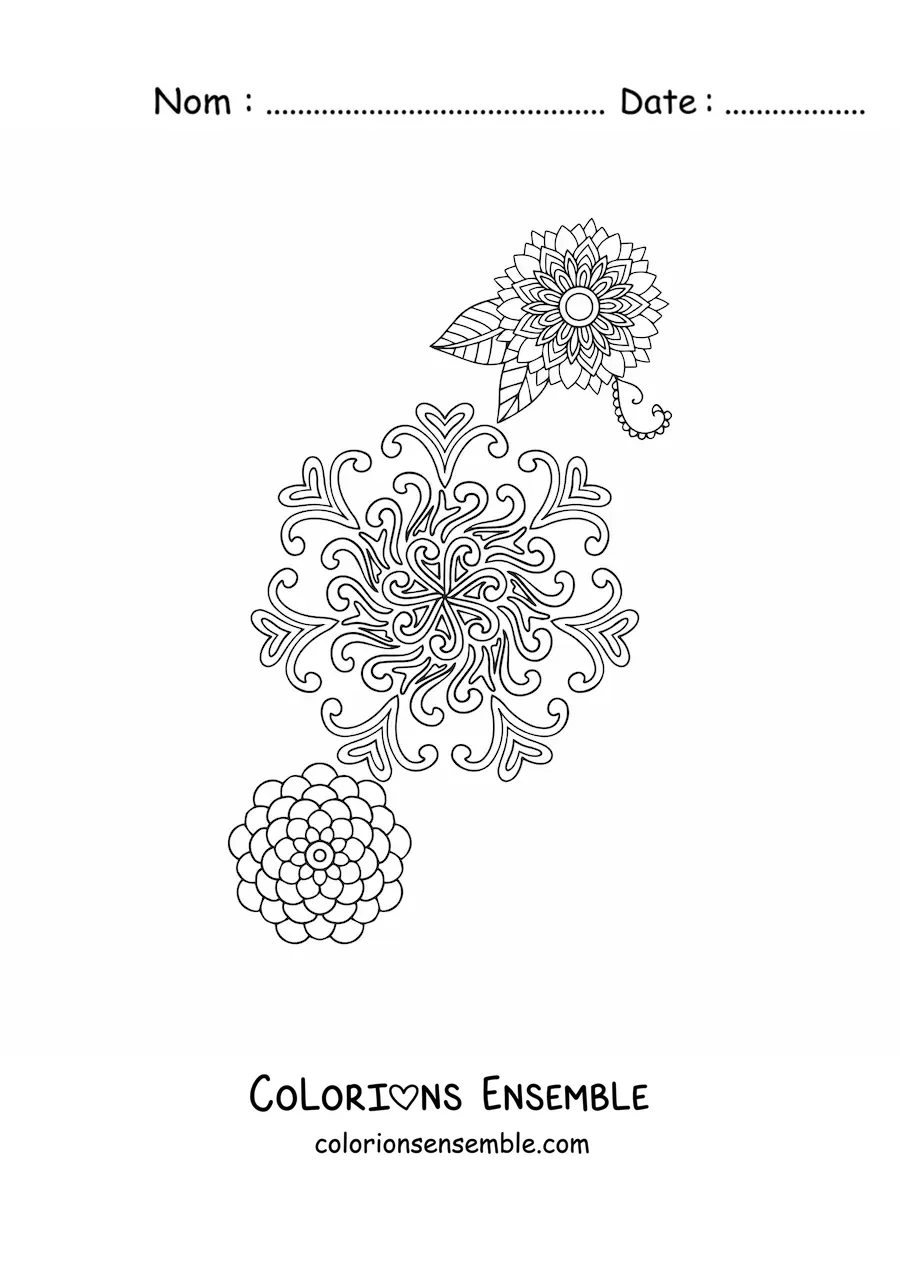 Fleurs en mandala à colorier