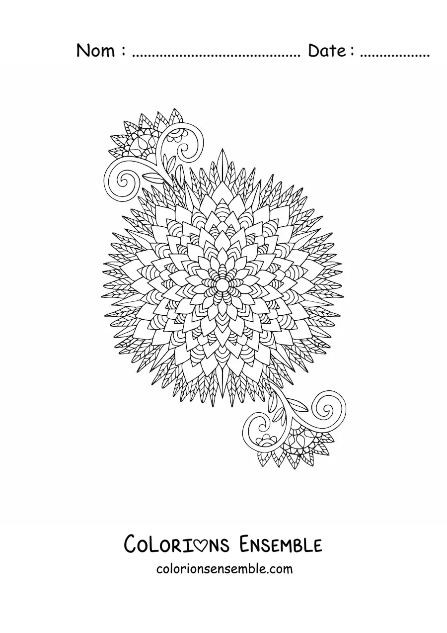 Fleur en mandala à colorier
