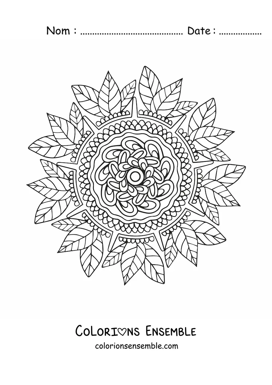 Mandala floral à colorier