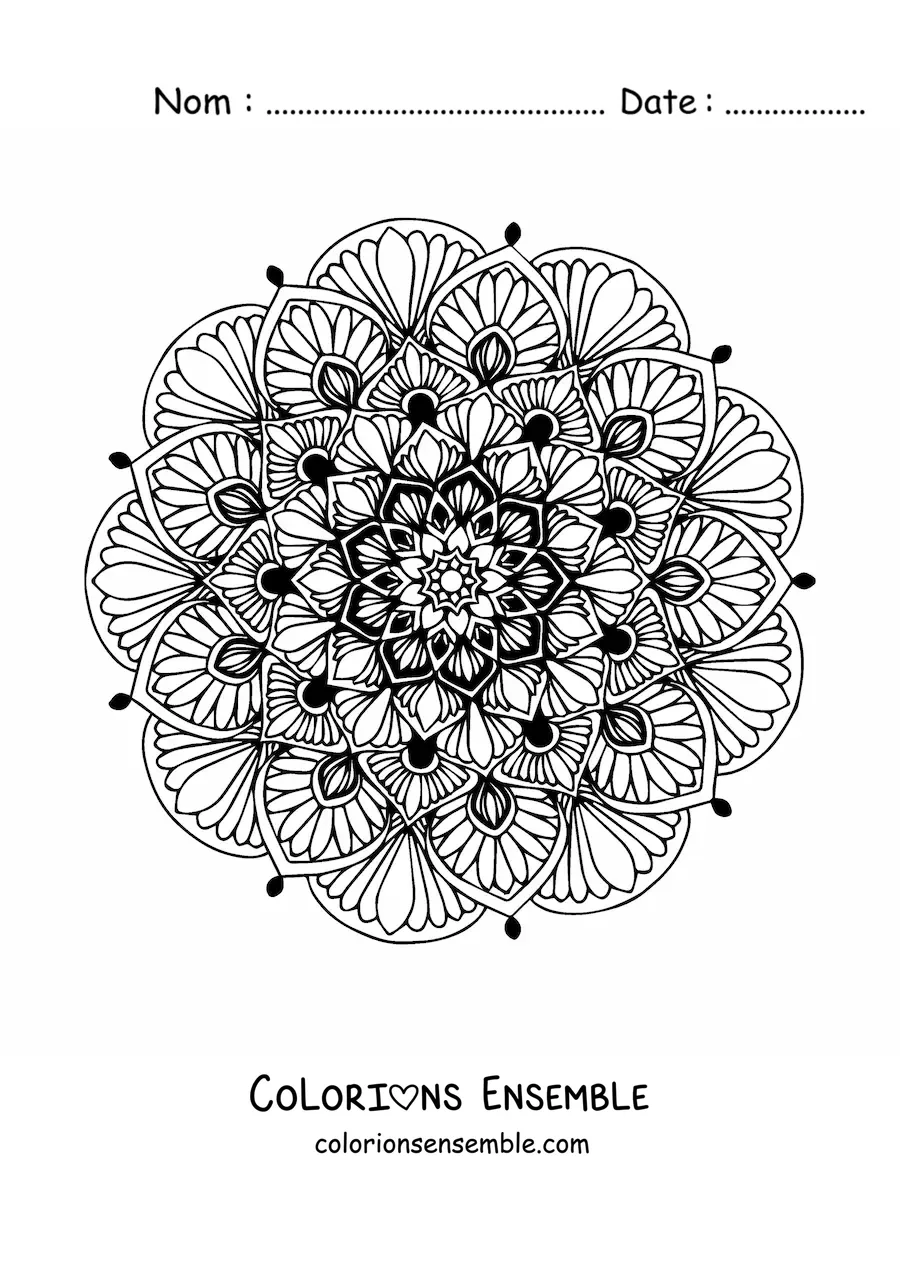 Mandala floral à colorier