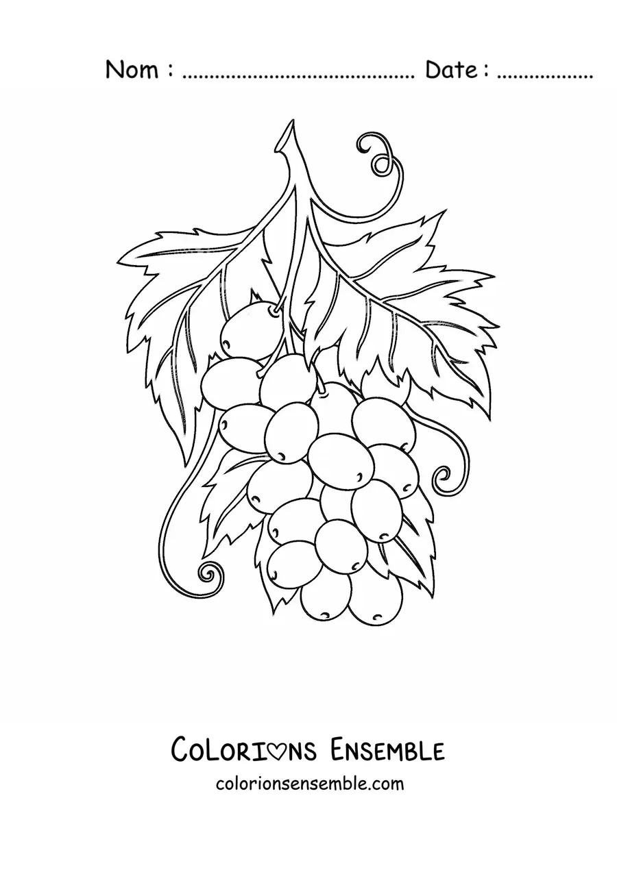 Image à colorier d’une grappe de raisins avec des feuilles