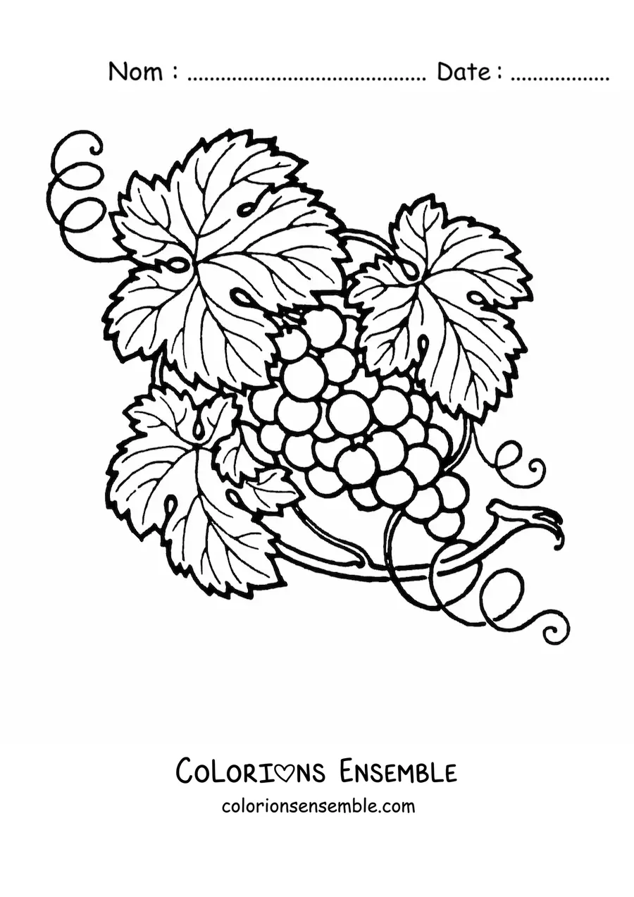 Image à colorier de raisins sur la vigne