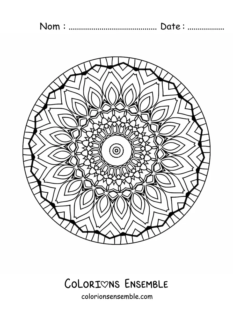 Coloriage d'un mandala pour les personnes âgées