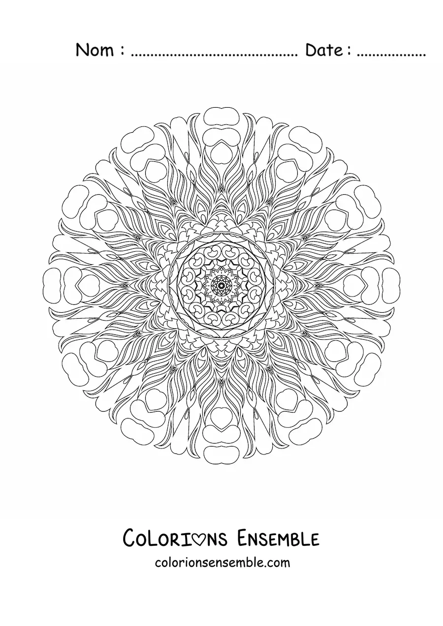 Coloriage d'un mandala relaxant pour adultes