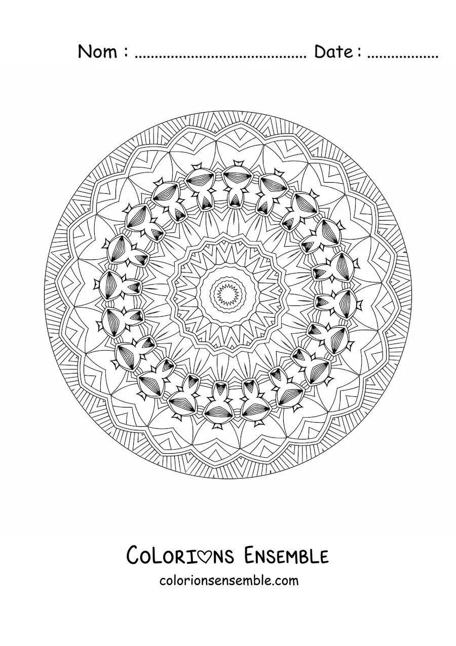 Coloriage d'un mandala relaxant pour adultes
