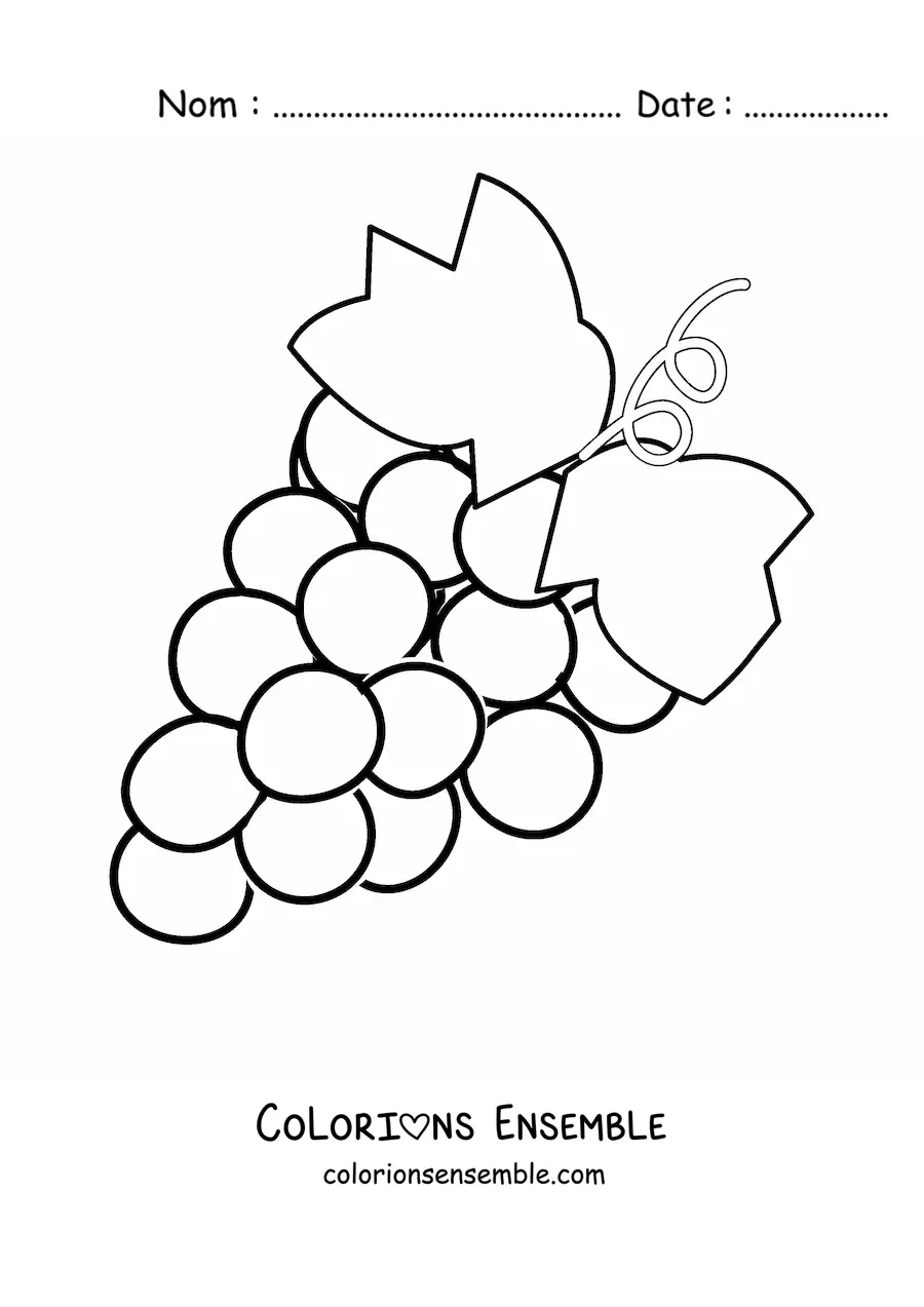 Image à colorier d’une grappe de raisins avec deux feuilles