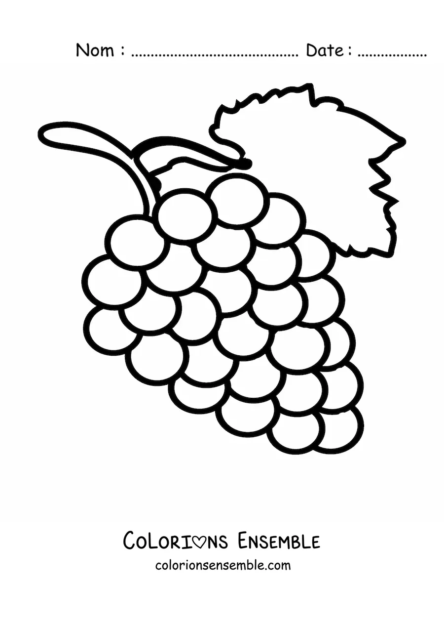 Image à colorier d’une grappe de raisins avec une feuille