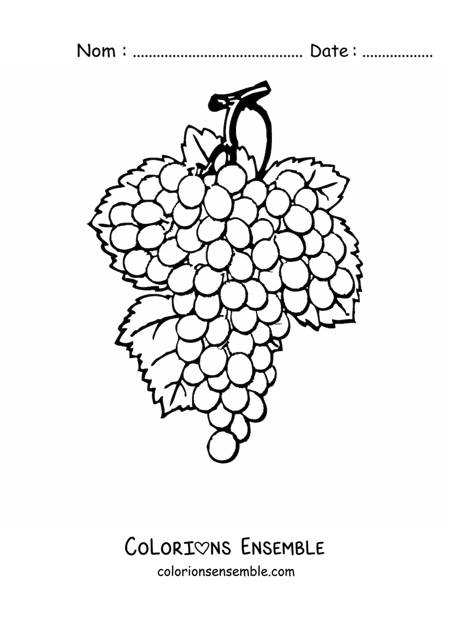 Image à colorier d’une grappe de raisins avec trois feuilles