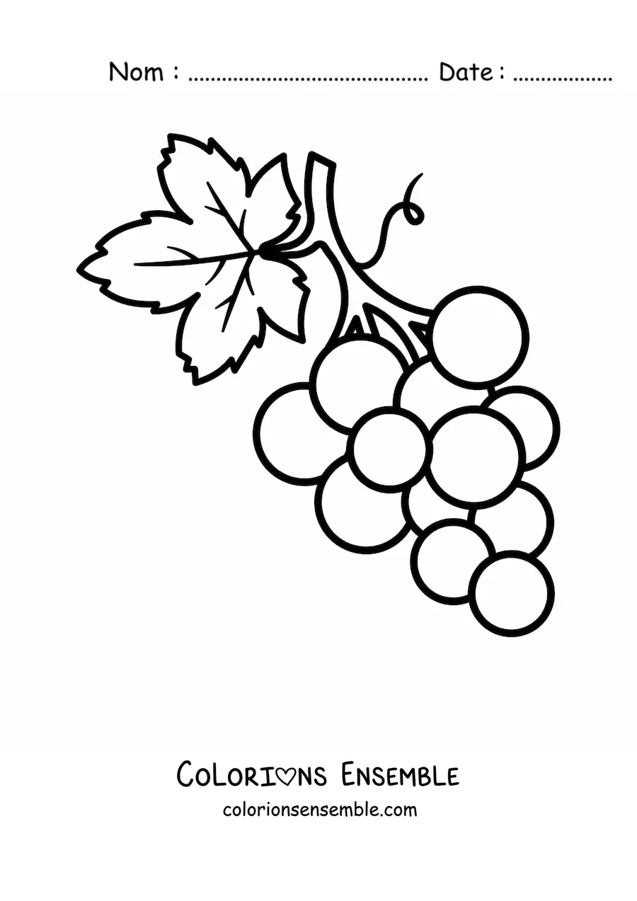 Image à colorier d’une petite grappe de raisins avec une grande feuille