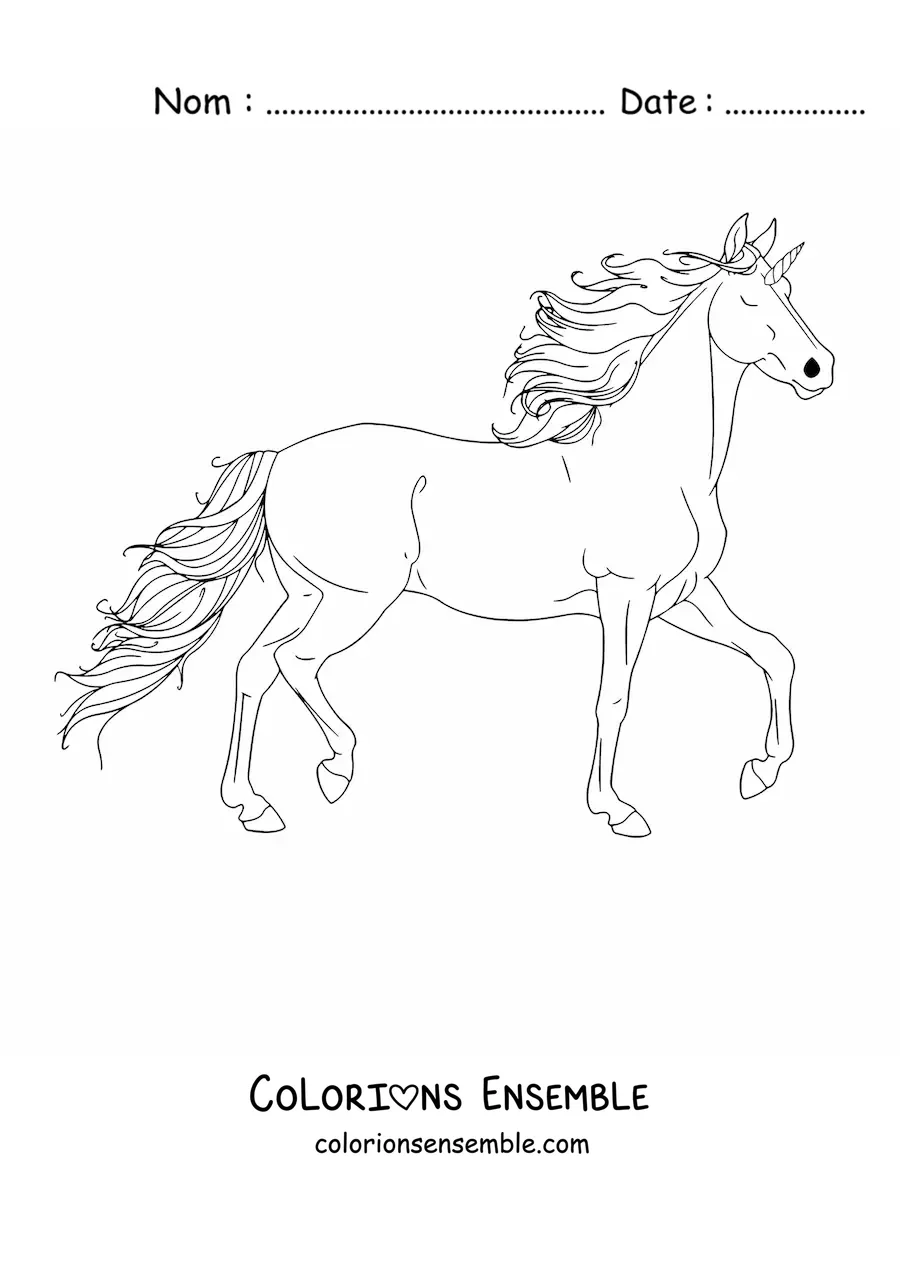 Image à colorier d’une licorne au galop