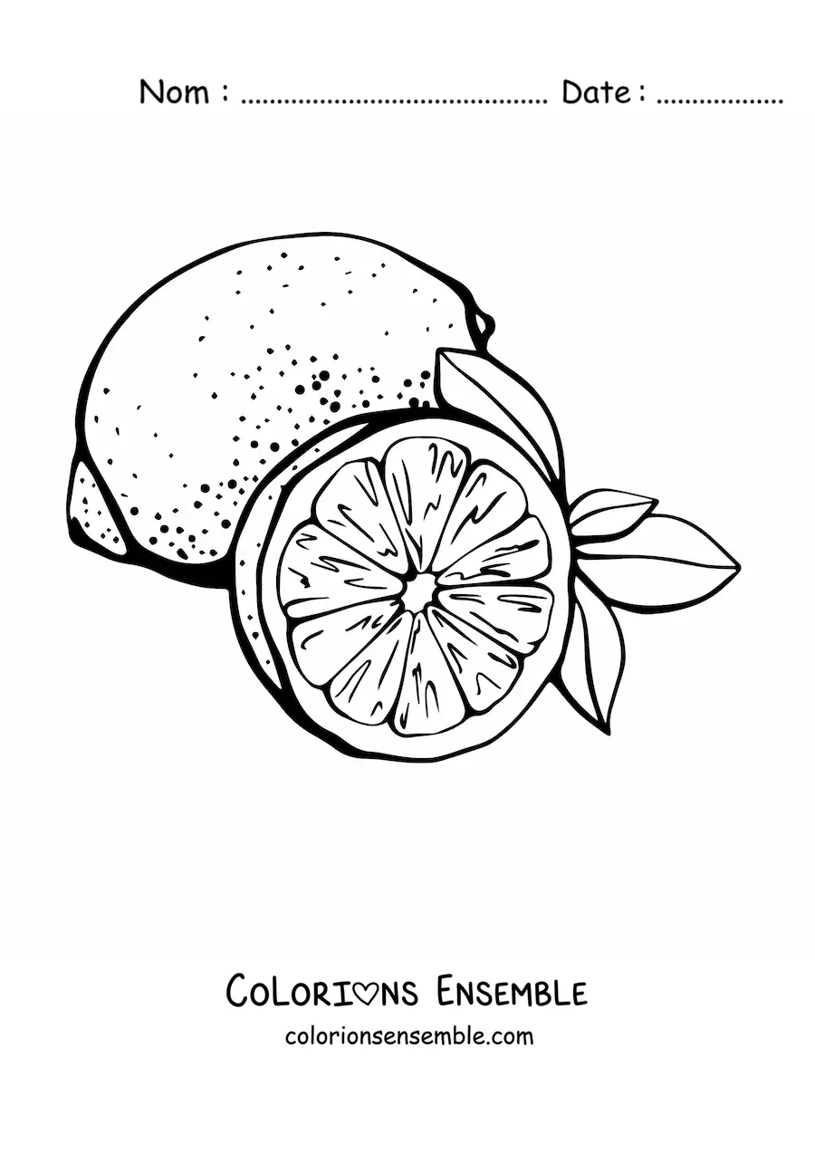 Image à colorier d’un citron entier et d’un demi-citron