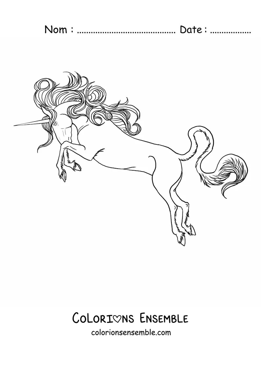 Image à colorier d’une licorne dressée sur deux pattes en train de charger