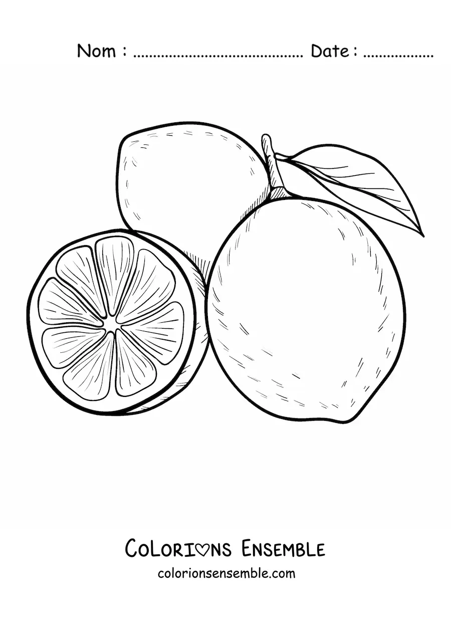 Image à colorier de deux citrons entiers et d’un demi-citron