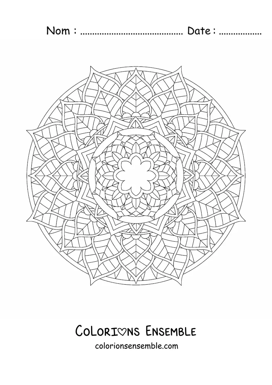 Image à colorier d'un mandala circulaire avec des fleurs