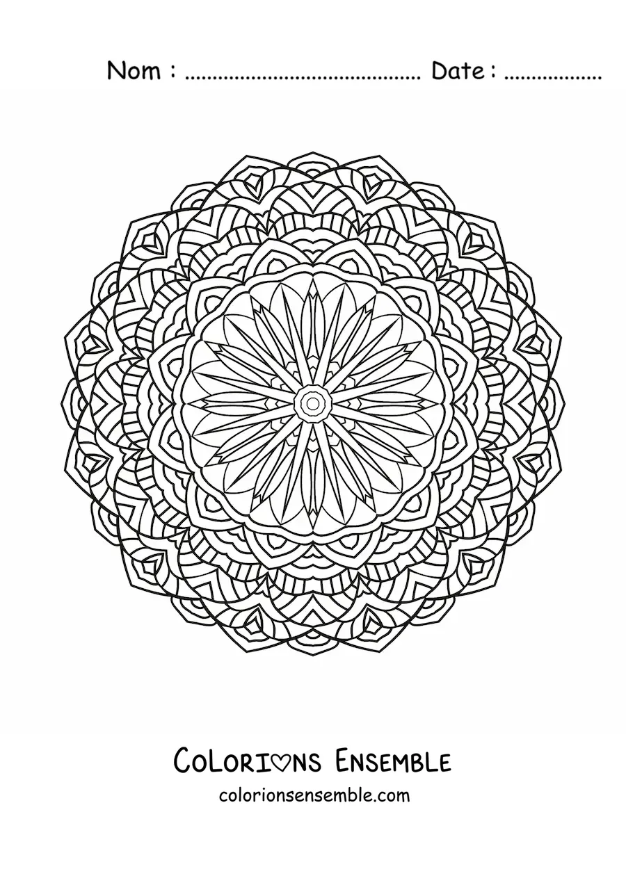 Image à colorier d'un mandala circulaire avec des fleurs