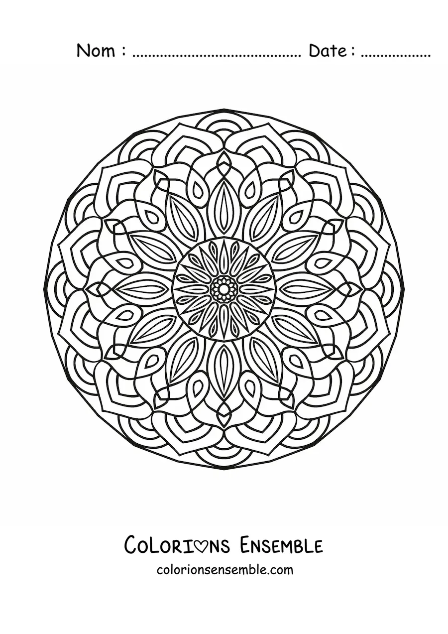 Image à colorier d'un mandala circulaire pour adultes