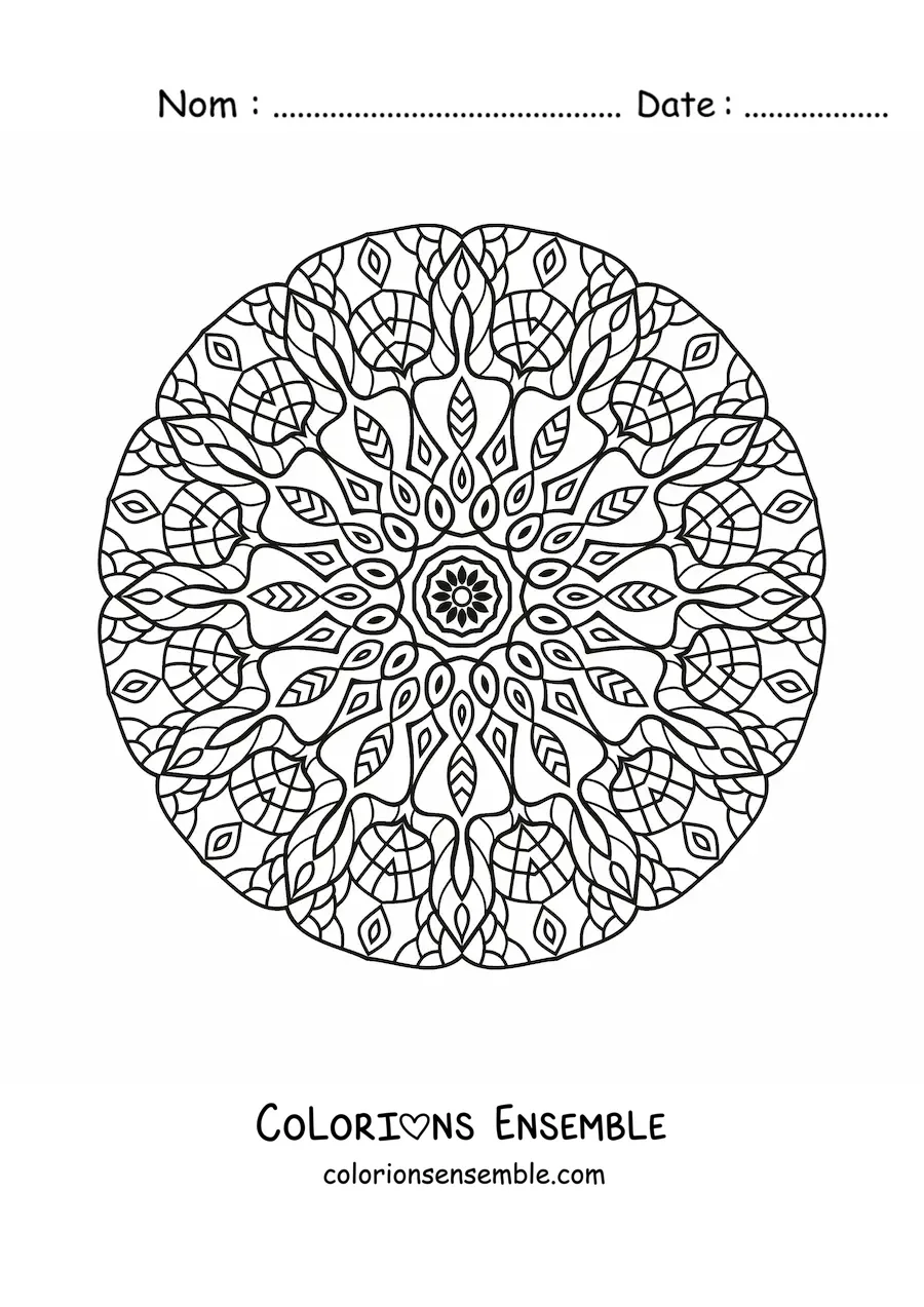 Image à colorier d'un mandala circulaire pour adultes