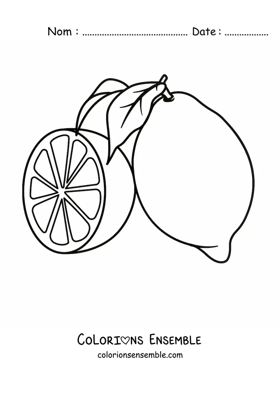 Image à colorier d’un citron avec une feuille et d’un demi-citron