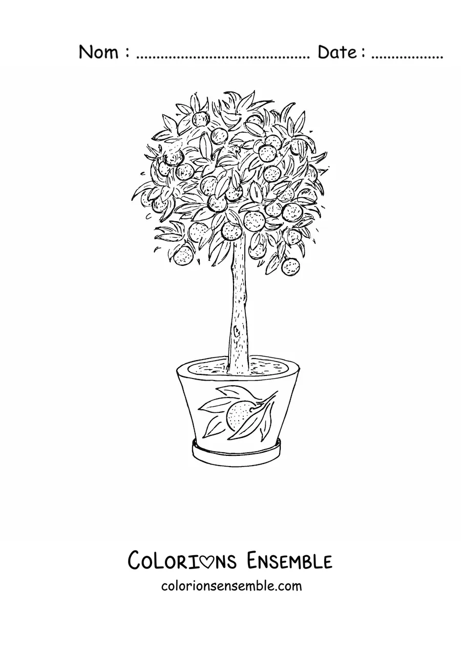 Image à colorier d’un citronnier dans un pot
