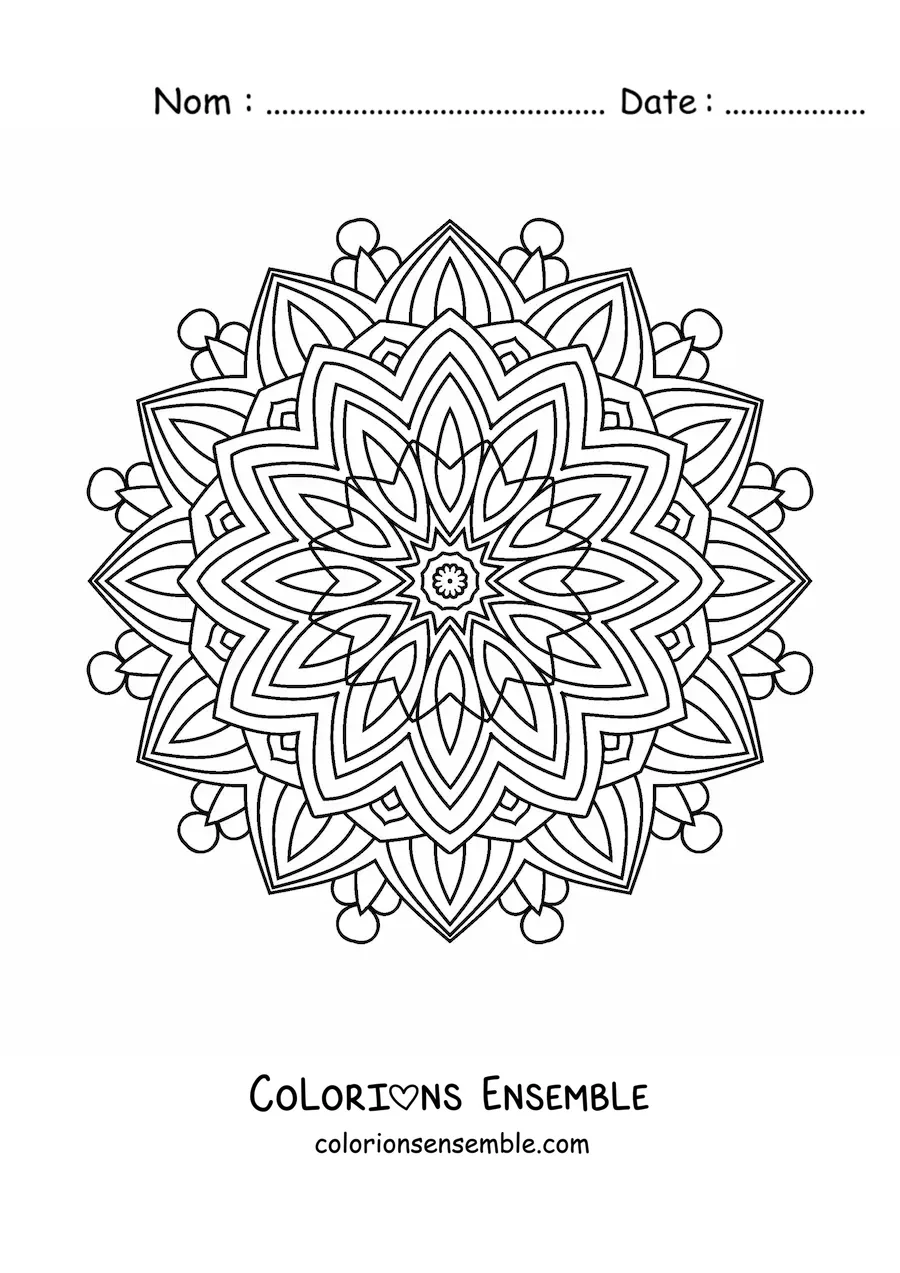 Image à colorier d'un mandala indien pour adultes