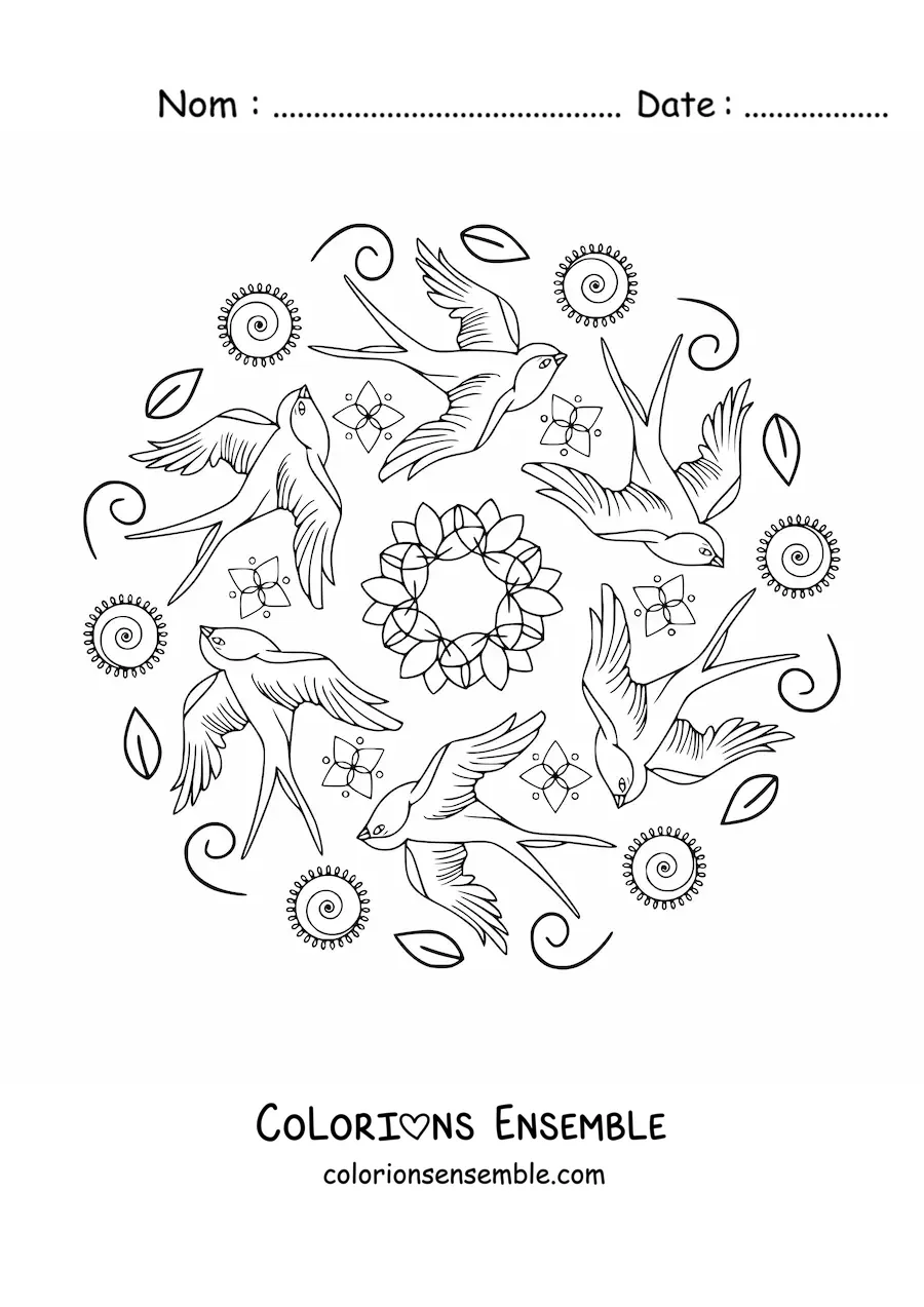 Image à colorier d'un mandala avec des oiseaux en vol et des feuilles