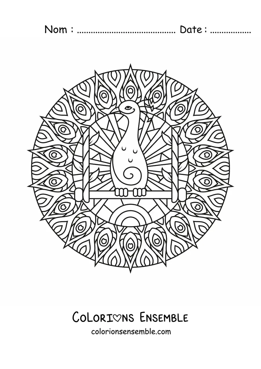 Image à colorier d'un mandala de paon