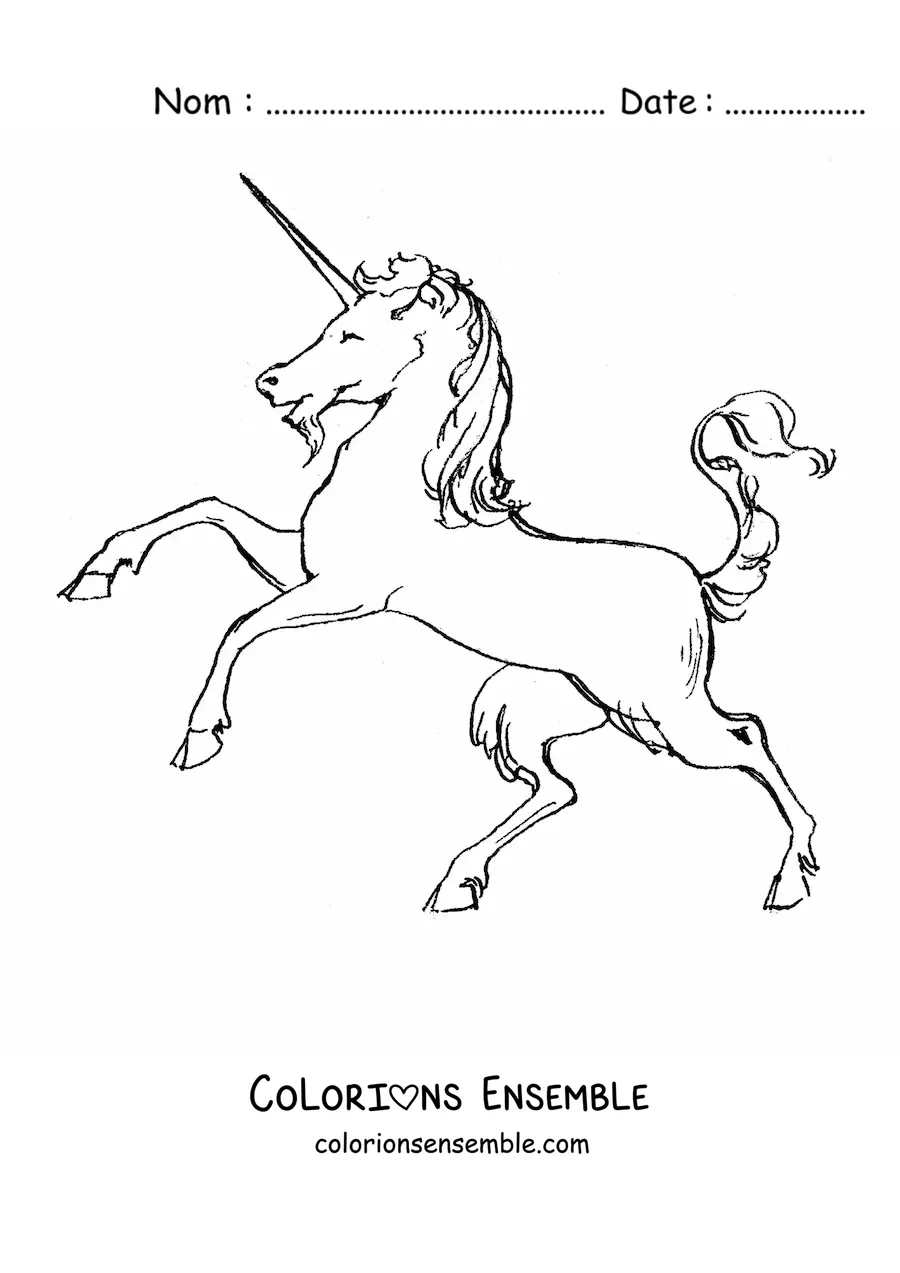 Image à colorier d’une licorne dressée sur deux pattes