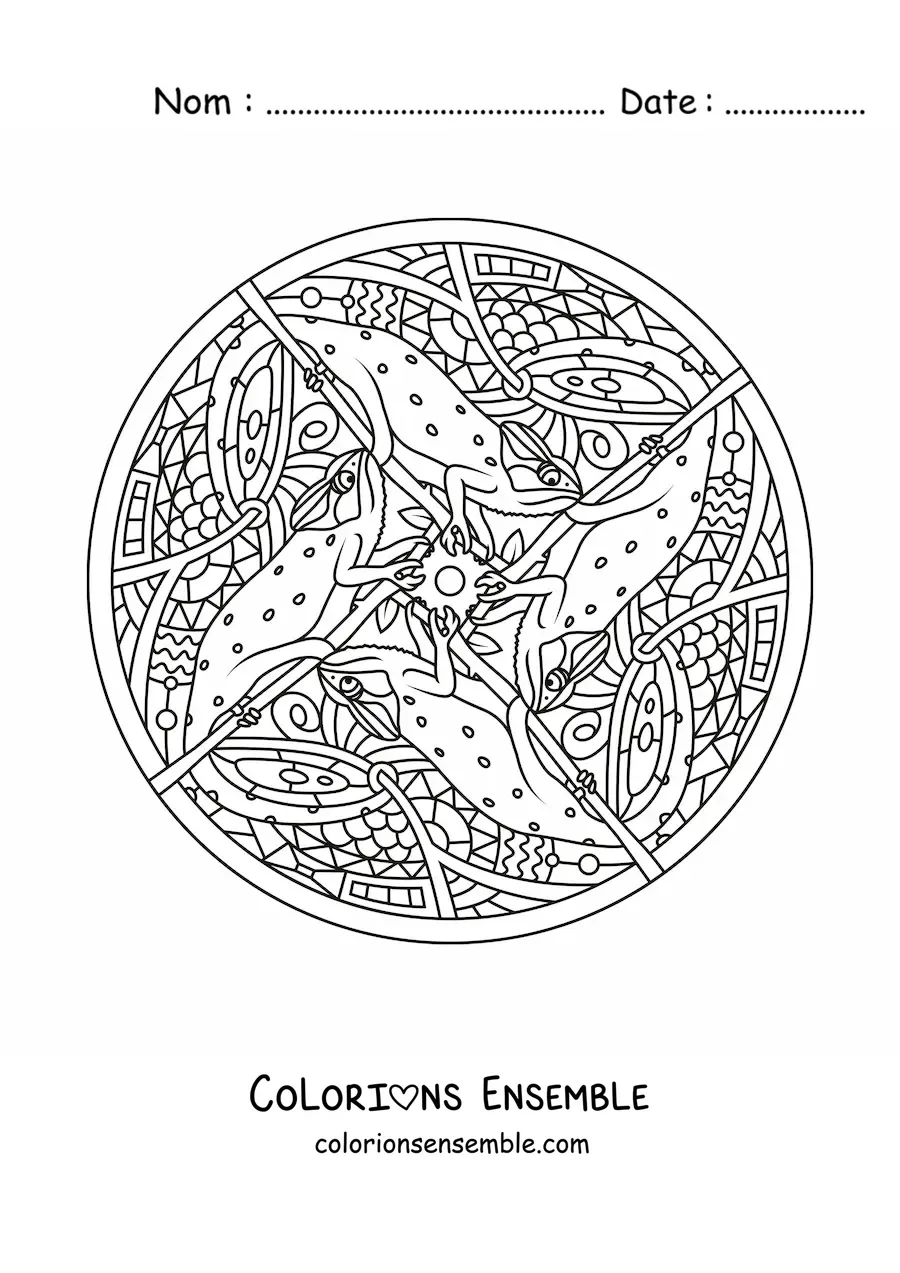 Image à colorier d'un mandala d'iguanes