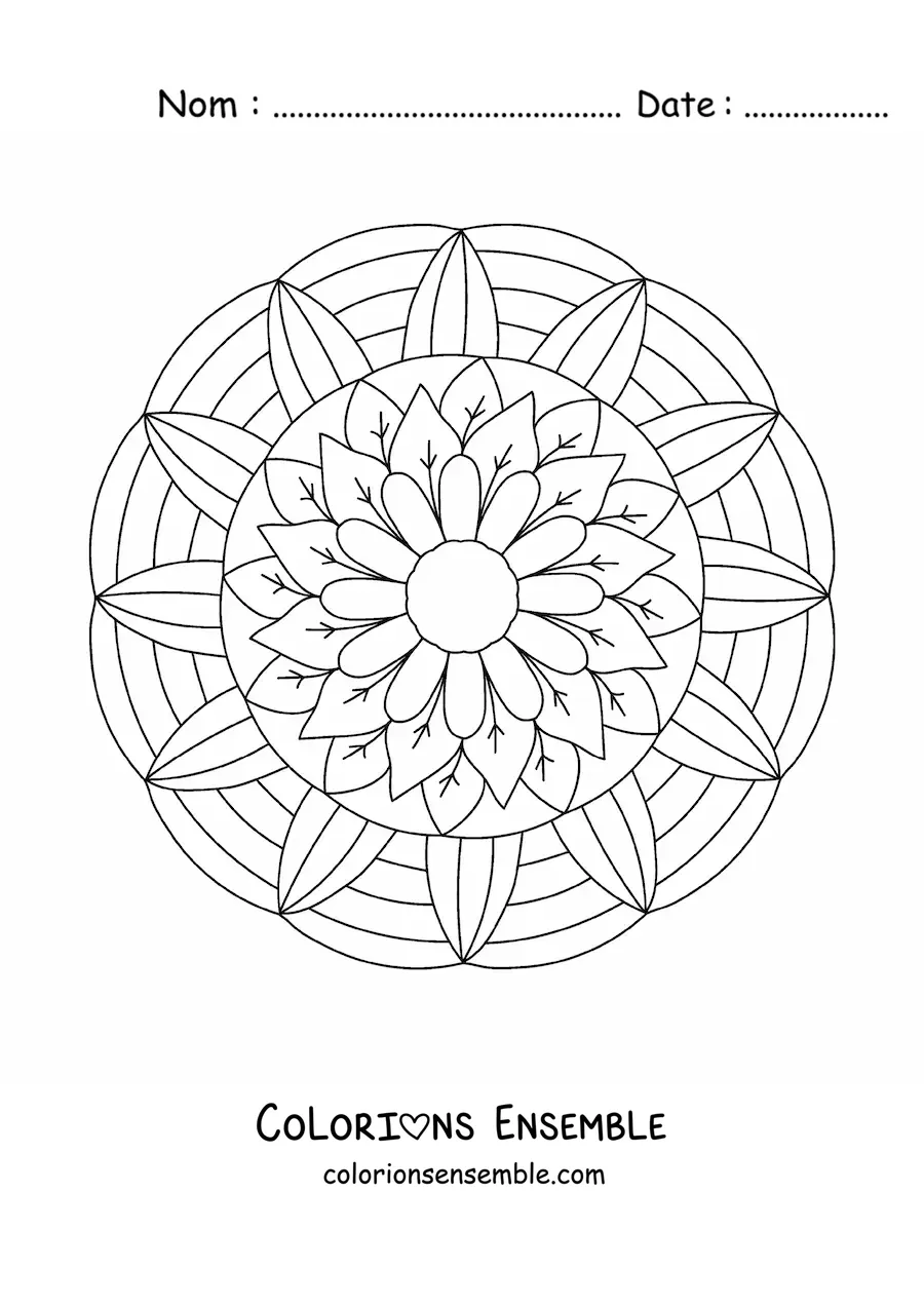 Image à colorier d'un mandala de fleurs et de feuilles