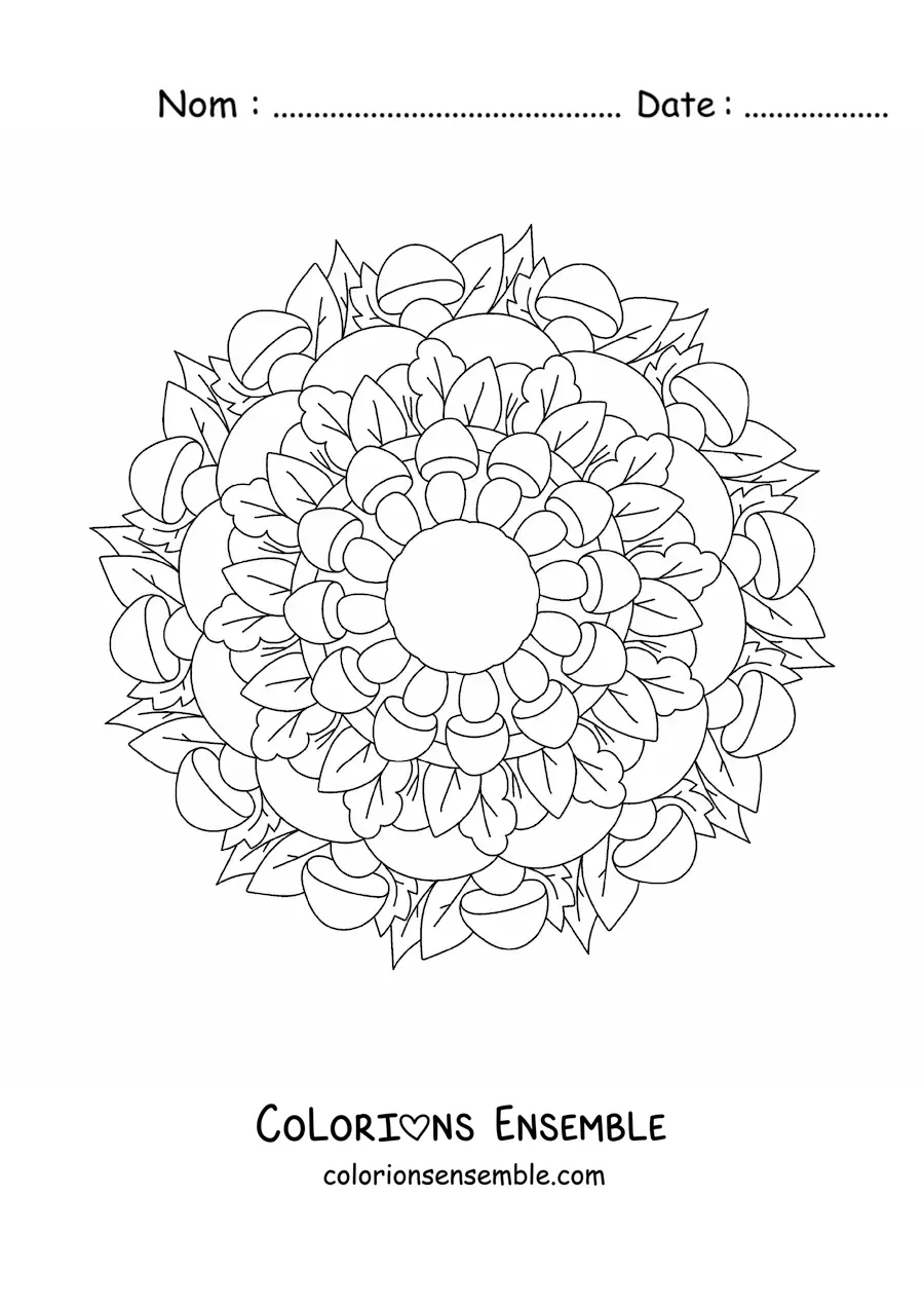 Image à colorier d'un mandala de fleurs et de feuilles