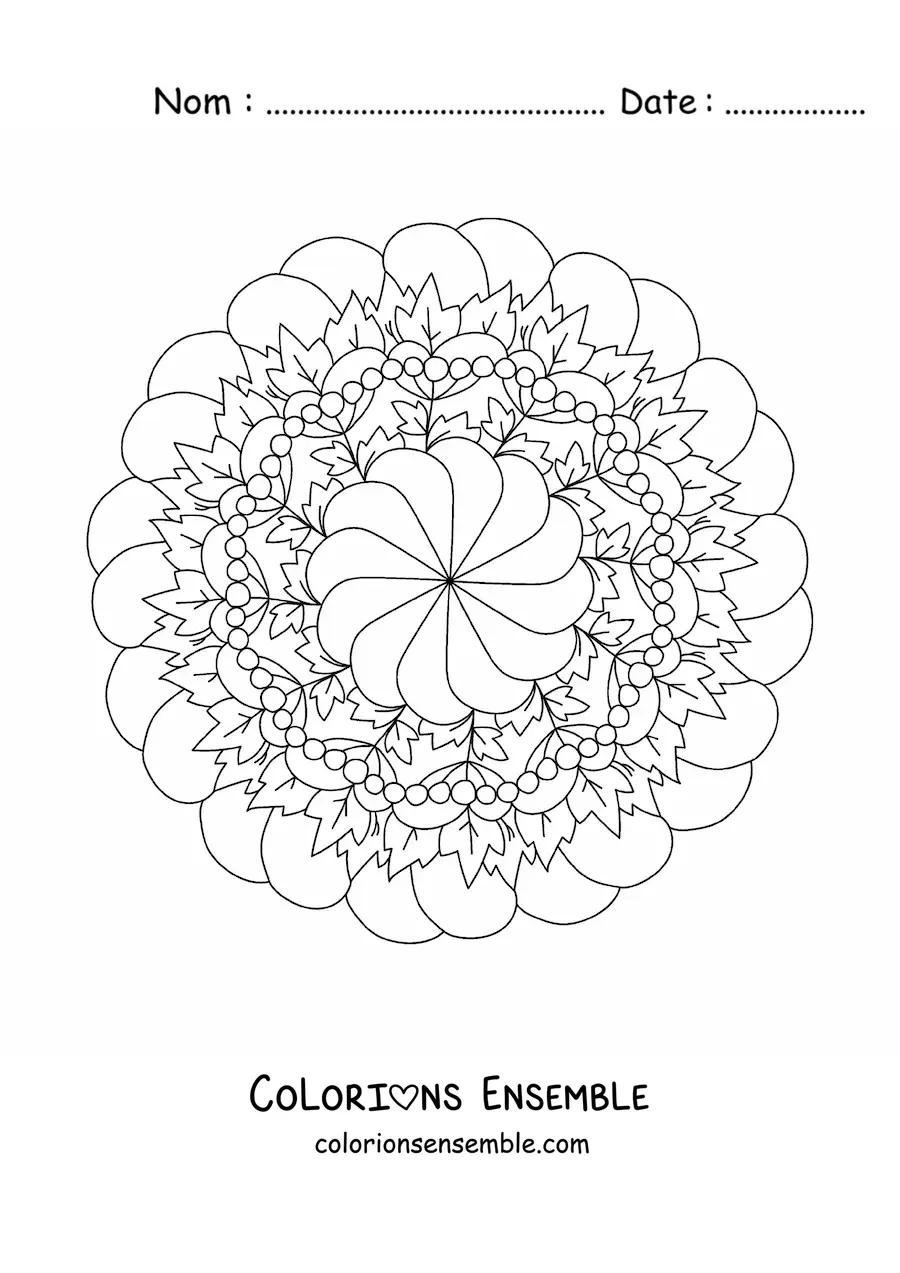 Image à colorier d'un mandala de fleurs et de feuilles