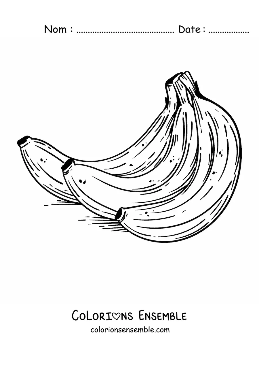 Image à colorier d'un régime de bananes réaliste