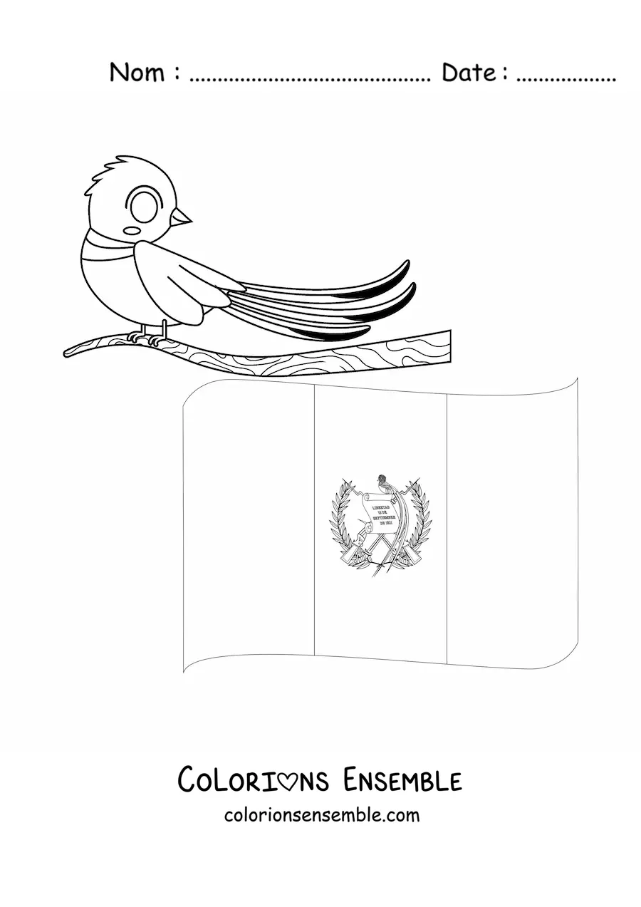 Image à colorier du drapeau du Guatemala avec l’oiseau national