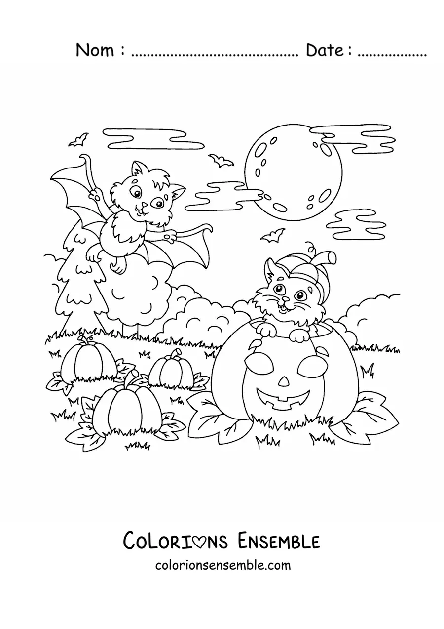 Image à colorier d’une chauve-souris kawaii avec un chat et une citrouille d’Halloween