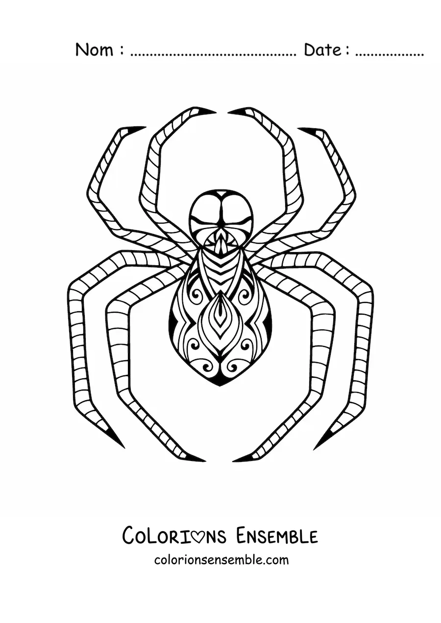 Image à colorier d’une araignée d’Halloween de style zentangle