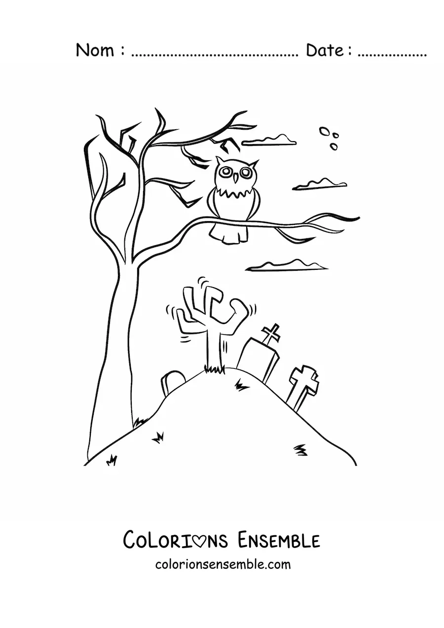 Image à colorier d’un hibou d’Halloween dans un arbre au cimetière