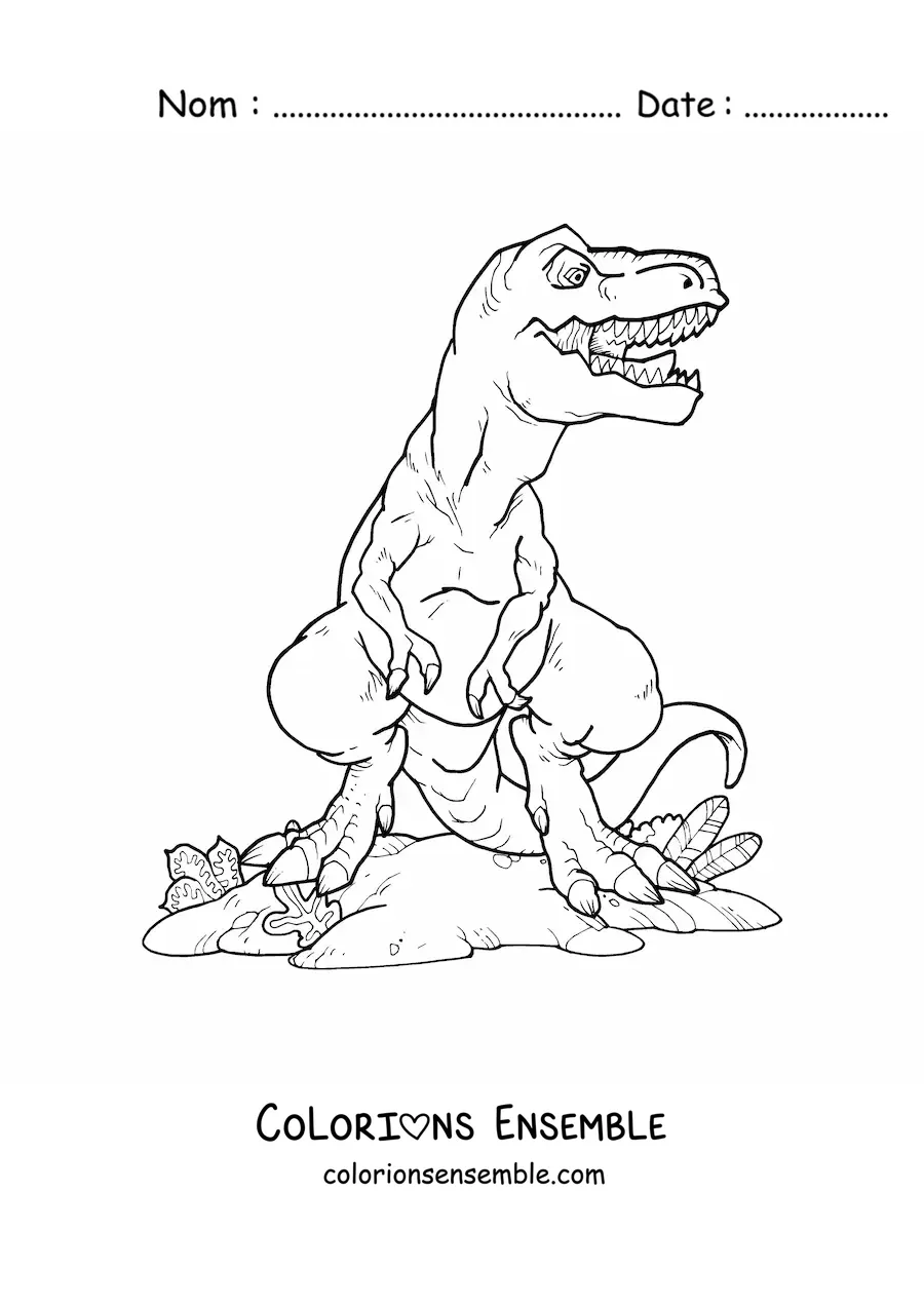 Image à colorier d'un tyrannosaure rex de face