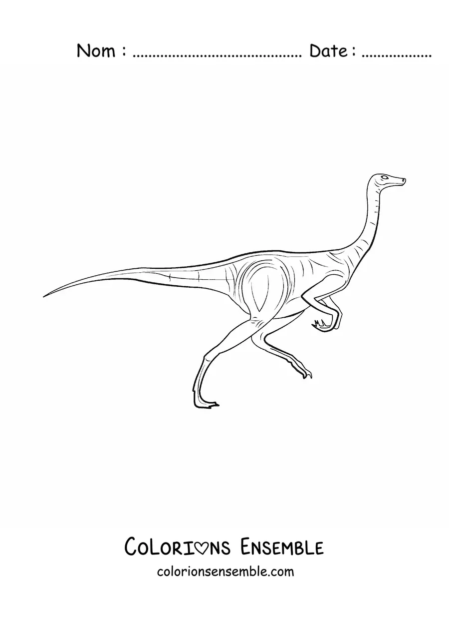 Image à colorier d’un dinosaure herbivore qui court