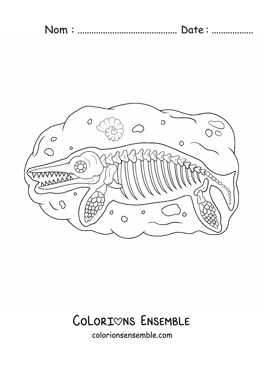 Image à colorier d’un fossile de dinosaure aquatique