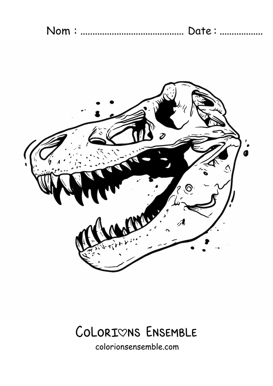 Image à colorier d’un crâne de tyrannosaure rex