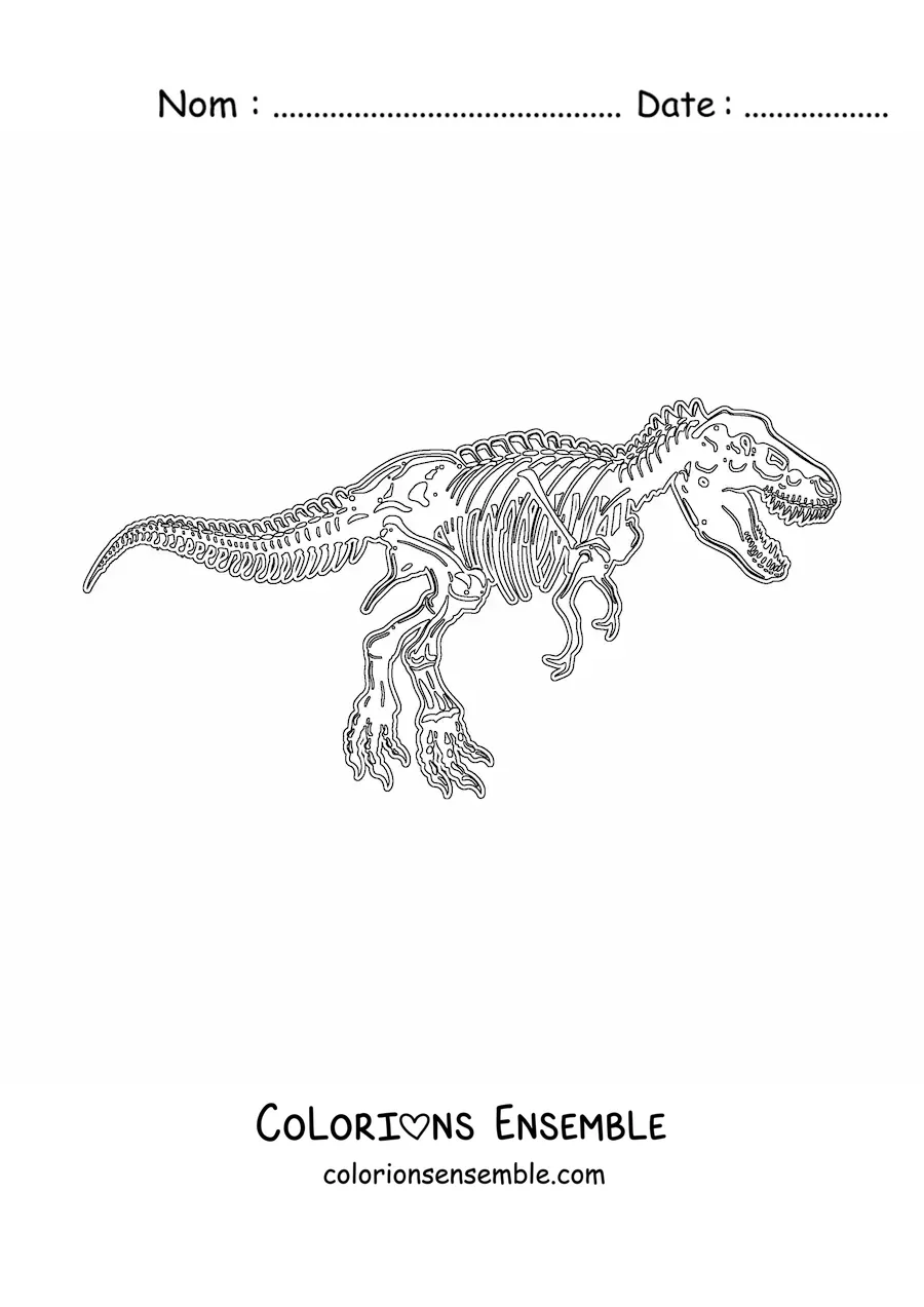 Image à colorier d’un squelette de tyrannosaure rex