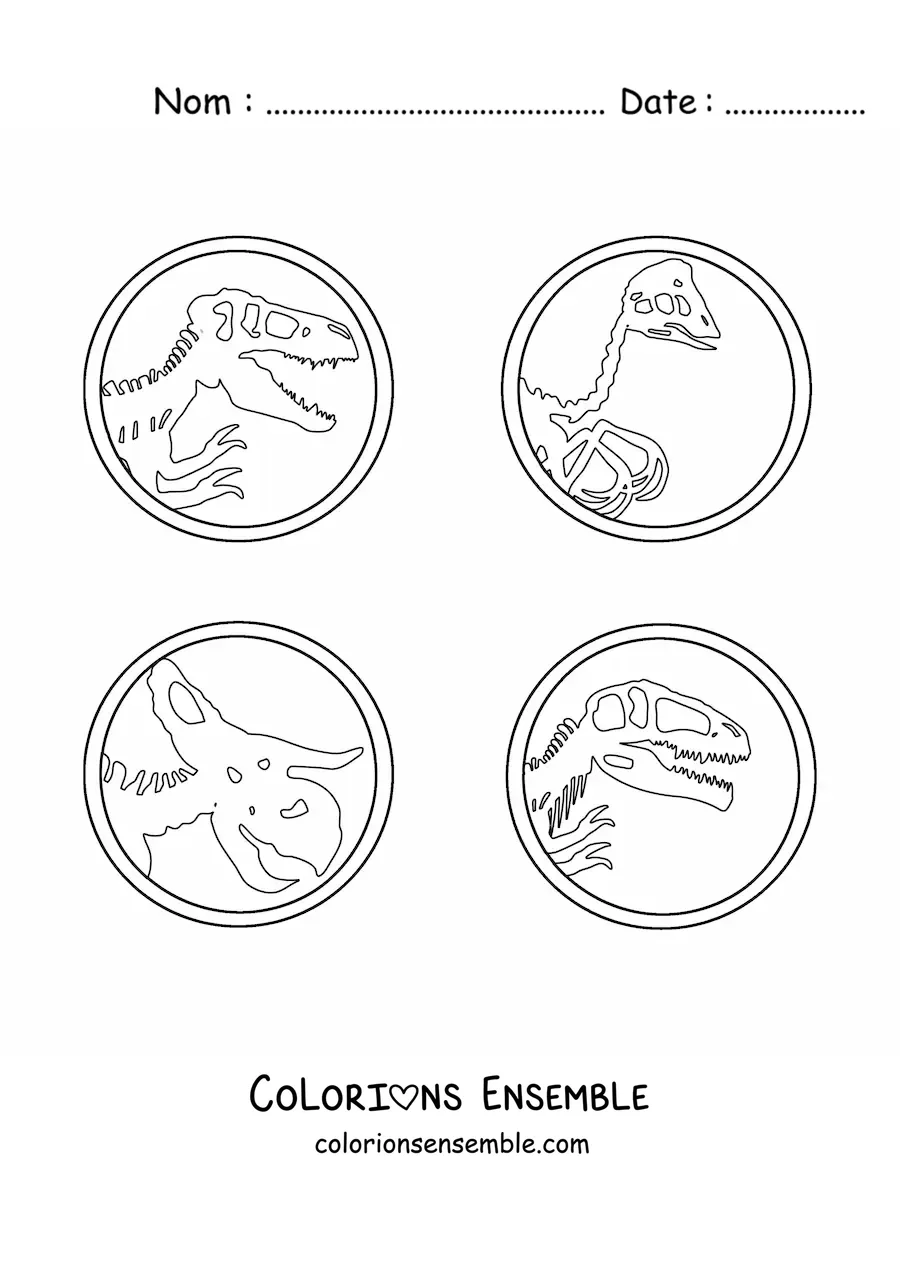 Image à colorier de fossiles de dinosaures