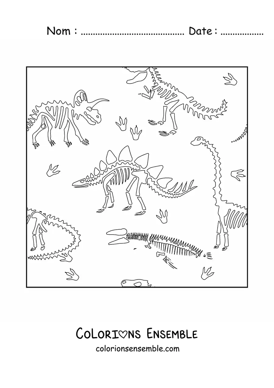 Image à colorier d’os de dinosaures